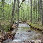 Un petit ruisseau, tout près de notre emplacement,<br /> une eau tellement fraîche qu'elle est bonne à boire